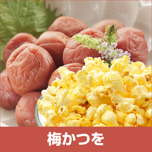 梅かつをフレーバー
